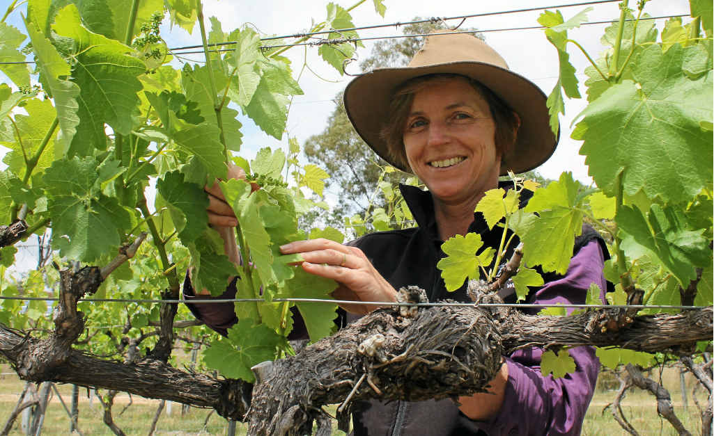 GREEN THUMB: Michelle Coelli loves being in the vineyard at Twisted Gum Wines. GREEN THUMB: Michelle Coelli loves being in the vineyard at Twisted Gum Wines.